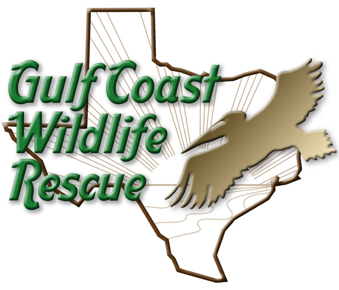 Gulf Coast Wild Rescue